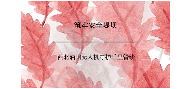 筑牢安全堤坝！西北油田无人机守护千里管线