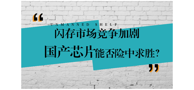 闪存市场竞争加剧 国产芯片能否险中求胜？