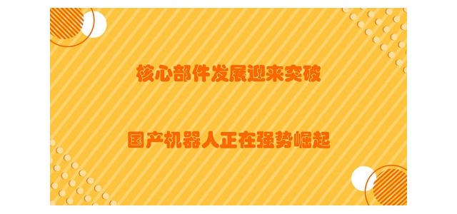 核心部件发展迎来突破，国产机器人正在强势崛起！