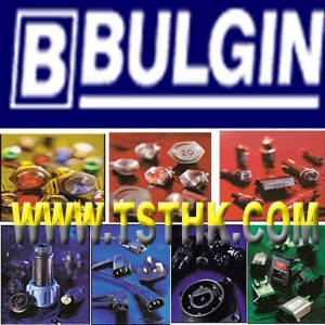 BULGIN