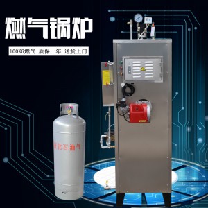 厂家批发100KG燃气 蒸汽发生器全自动 小型天然