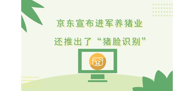 京东宣布进军养猪业 还推出了“猪脸识别”