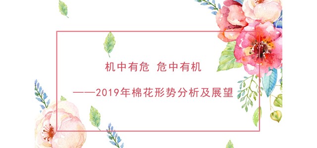 机中有危 危中有机——2019年棉花形势分析及展望